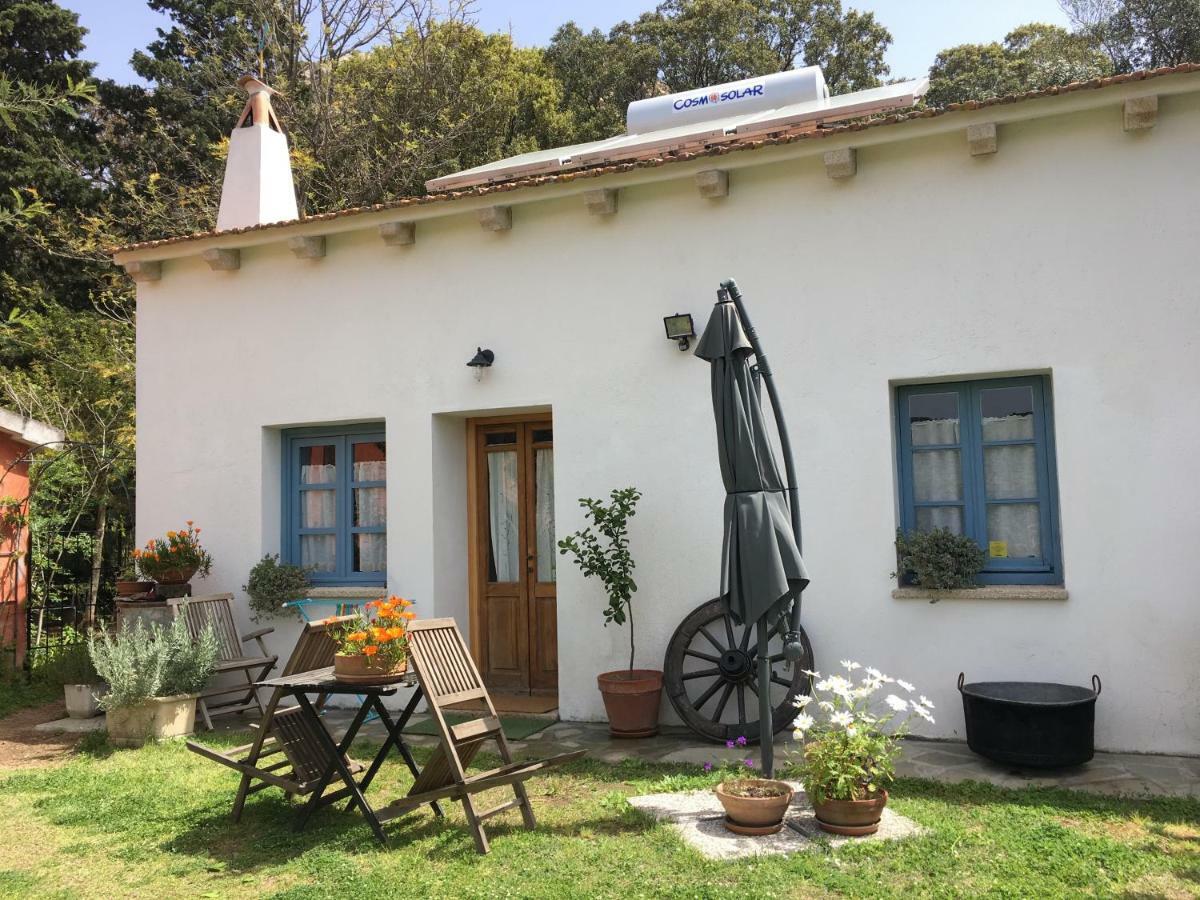 Agriturismo La Casa Delle Fate Loiri Porto San Paolo Exterior photo