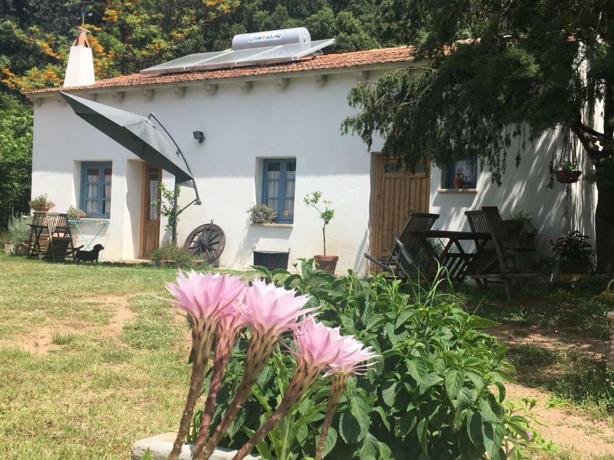 Agriturismo La Casa Delle Fate Loiri Porto San Paolo Exterior photo